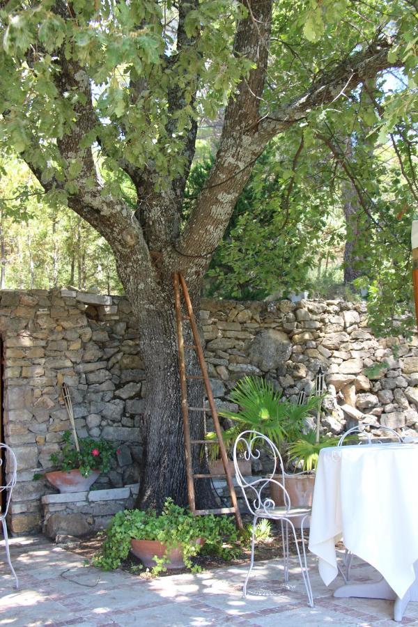 טורטור La Petite Auberge מראה חיצוני תמונה